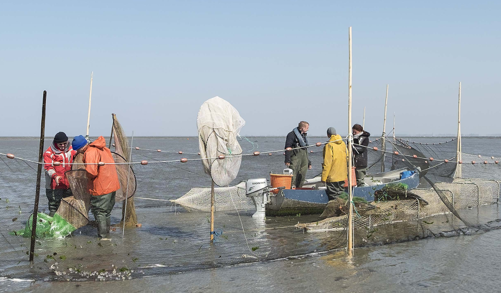 Vissers van de kust aan het werk met visstand onderzoek bij de onderzoek fuik