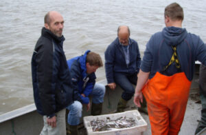 Vissers van de kust aan het werk met visstand onderzoek