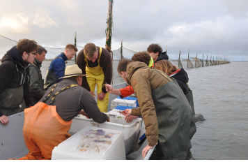 Schiermonnikoog monitoring