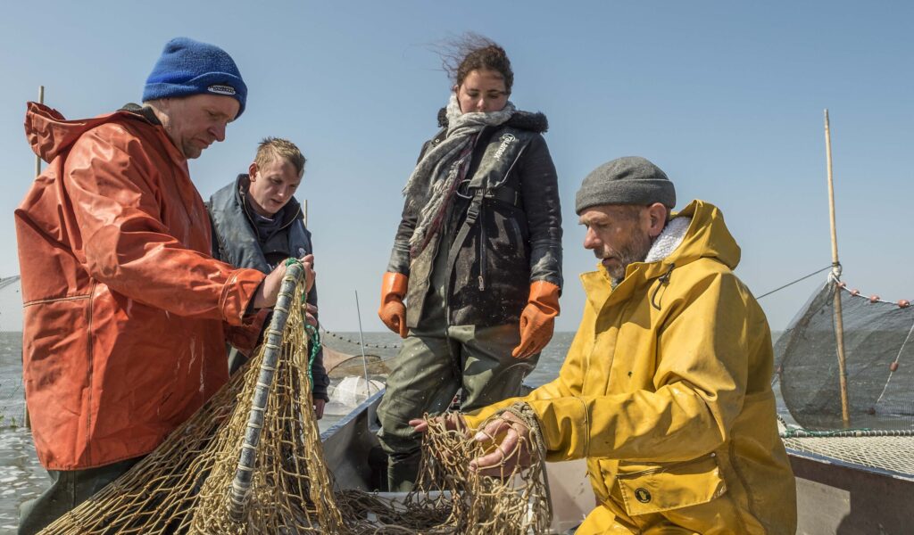Vissers van de kust aan het werk met visstand onderzoek bij de onderzoek fuik